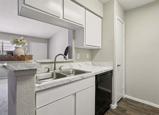 A kitchen with a white counter top and a black dishwasher.