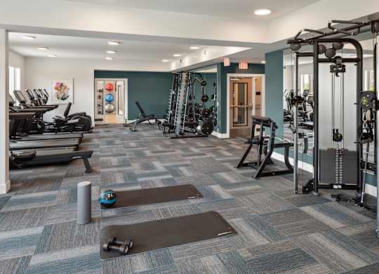 A gym with a variety of equipment including treadmills, weights, and exercise machines.