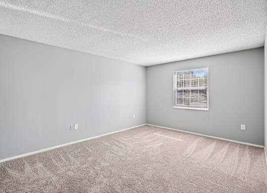 A room with a carpeted floor and a window with blinds.