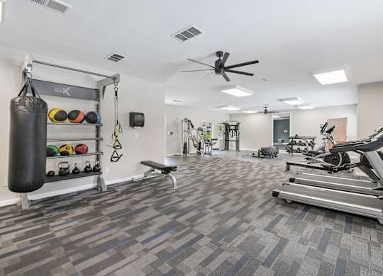 A gym with a punching bag, weights, and exercise equipment.