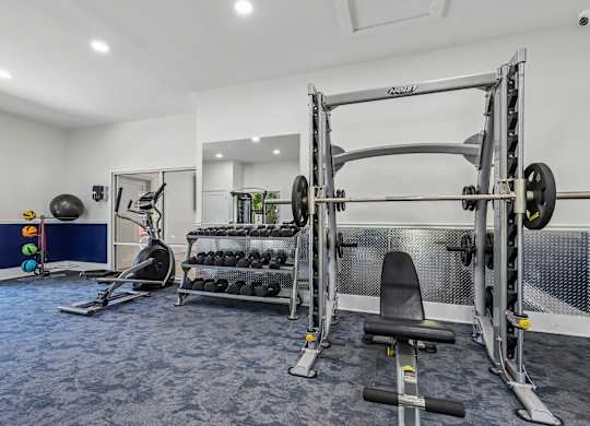 A well-equipped home gym with a squat rack, weight bench, and exercise balls.