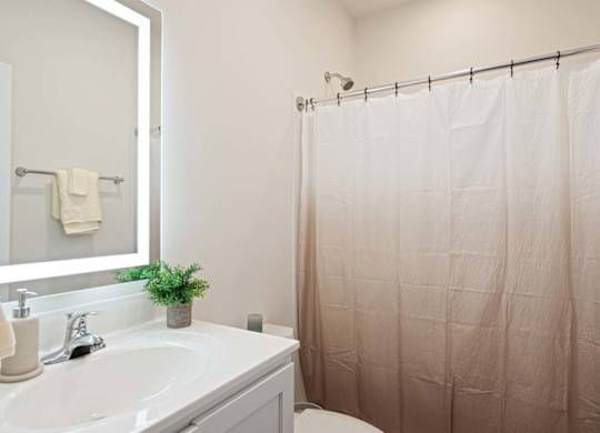 A white sink with a potted plant on it.