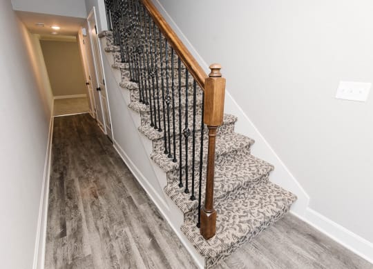 an image of a staircase in a home with carpeted stairs