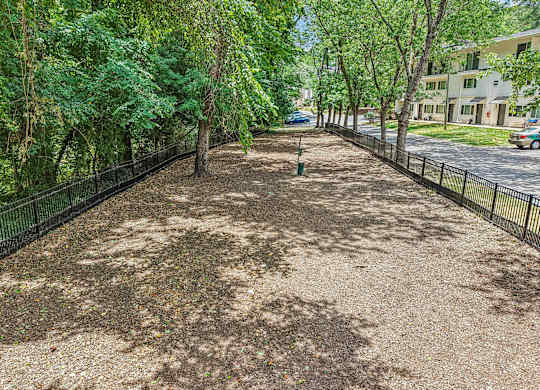 A tree-lined path with a black fence on either side.