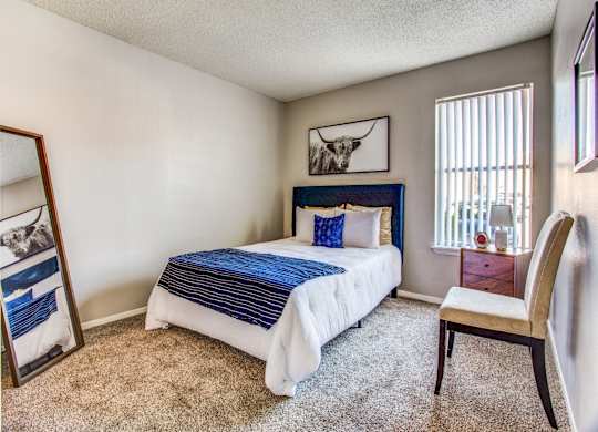 Dog-Friendly Apartments In Fort Worth, TX - Monarch Pass - Spacious Bedroom With Plush Carpeting, Bed, Chair, Nightstand with Lamp, Standing Full-Body Mirror, And Window.