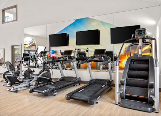 A gym with treadmills and exercise bikes.