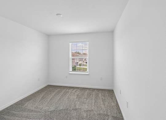 A room with a carpeted floor and a window showing a cityscape outside.