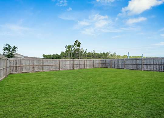 A backyard with a wooden fence and green grass.