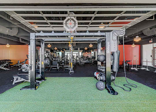 A gym with a green floor and a variety of equipment.