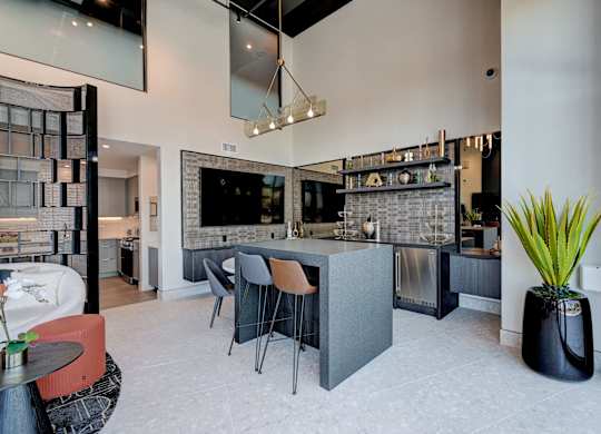 A modern kitchen with a bar area and a potted plant.