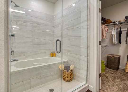 South Scottsdale Apartments - Lucent Scottsdale - Bathroom Soaking Tub with Shower, Adjacent Walk-In Closet