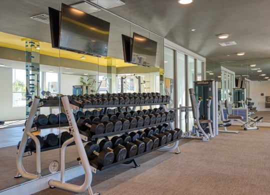 South Scottsdale Apartments - Lucent Scottsdale - fitness center with cardio and strength training equipment, dumbbells, TVs