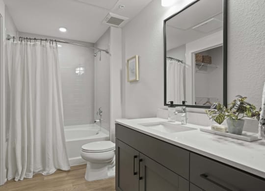 a bathroom with a sink and a toilet and a shower