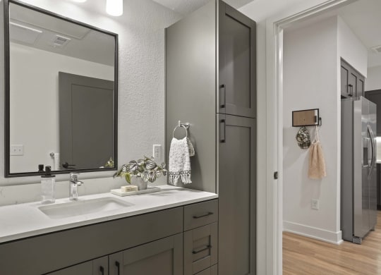 a bathroom with a sink and a mirror