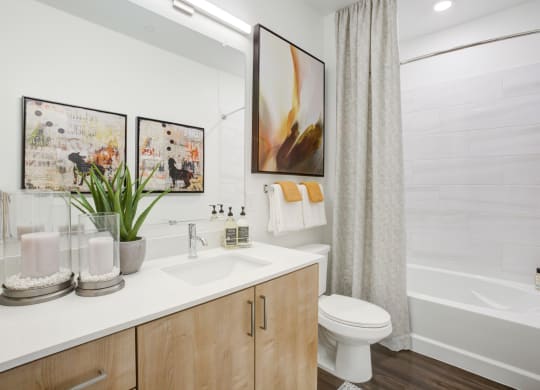 South Scottsdale Apartments - Lucent Scottsdale - Bathroom with Modern Cabinetry and Tub