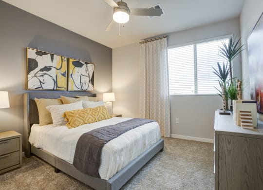 South Scottsdale Apartments - Lucent Scottsdale - Spacious Bedroom With Carpeted Flooring, Bed, Side Tables With Lamps, Dresser, Ceiling Fan, And A Window With Blinds