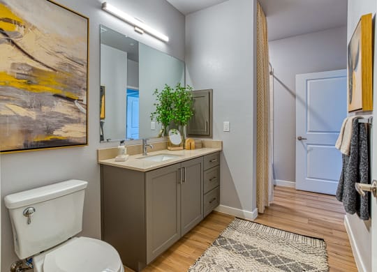 South Scottsdale Apartments - Lucent Scottsdale - Bathroom with Modern Cabinetry