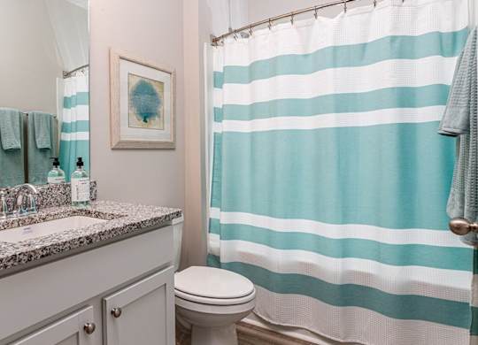 a bathroom with a blue and white shower curtain