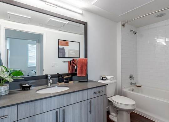 a bathroom with a sink toilet and a mirror