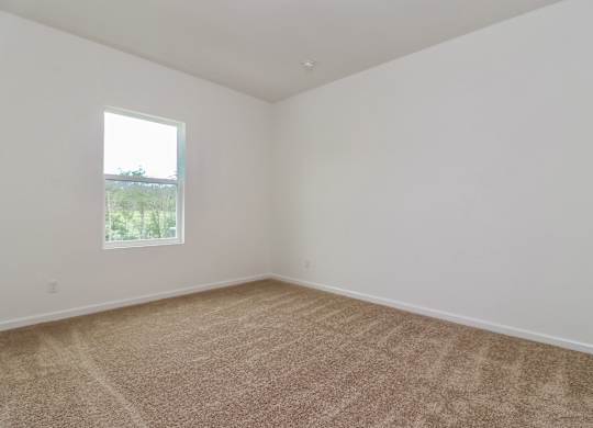 A room with a carpeted floor and a window.