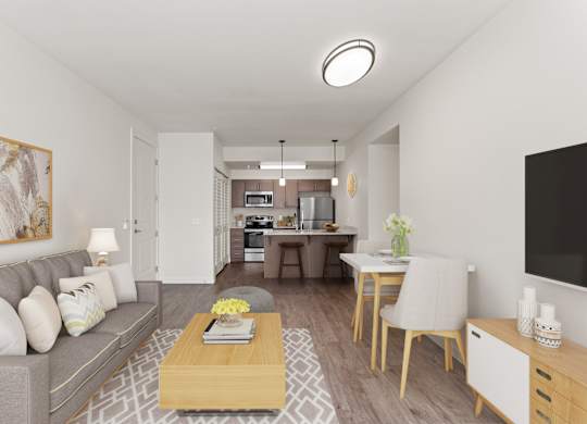 A living room with a grey couch, a coffee table, and a television.