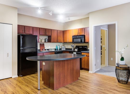 fully functioning kitchen at Uptown Lake Apartments, Minnesota, 55408