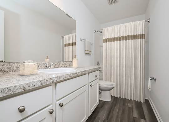 Pet Friendly Homes in Ruskin, FL - Ruskin Reserve - Luxury bathroom with vanity and wood style flooring