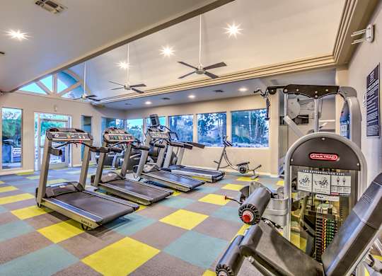 A gym with treadmills and elliptical machines.