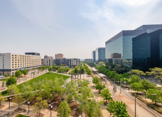 a park in the middle of a city with tall buildings