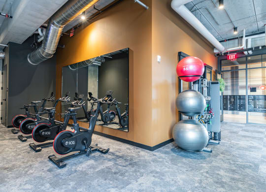 the gym at the flats east bank