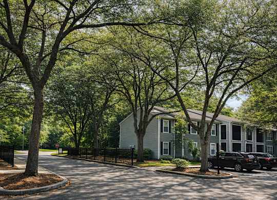 Tree-lined community grounds at Chelsea Apartments in Gainesville, Florida