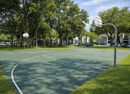 A basketball court is surrounded by trees at Chelsea Apartments in Gainesville, FL