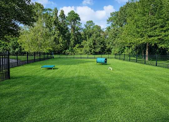 Fenced dog park at Chelsea Apartments in Gainesville, FL