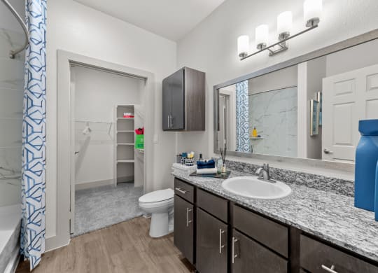 a bathroom with a sink and a toilet and a mirror