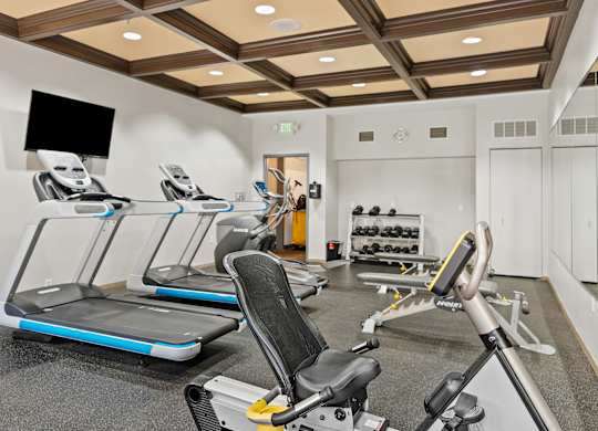 A gym with treadmills, weights, and exercise equipment.