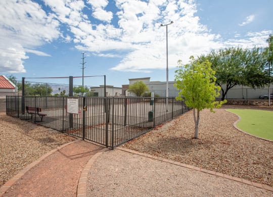 a fenced in area with a tennis court and a tree