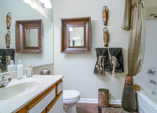 Enclave at Wolfchase Apartments in Cordova Tennessee photo of bathroom with toilet and vanity
