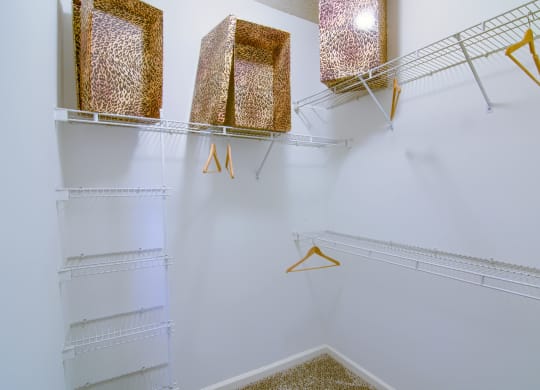 Enclave at Wolfchase Apartments in Cordova Tennessee photo of a walk in closet with white walls and white shelves