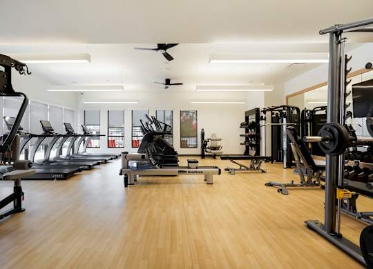 A gym with a variety of equipment including treadmills, weights, and benches.
