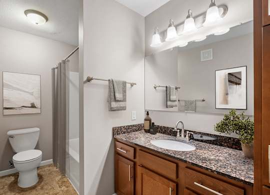 a bathroom with a shower toilet and sink and a mirror