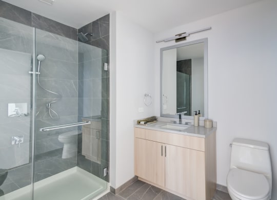 a bathroom with a shower toilet and a sink