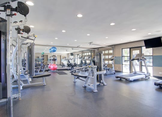 Estuary Apartments in Atlanta Georgia 30341 photo of a spacious fitness center with cardio equipment and a pink exercise ball