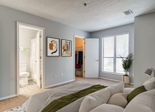 a living room with a couch and a bed and a bathroom
