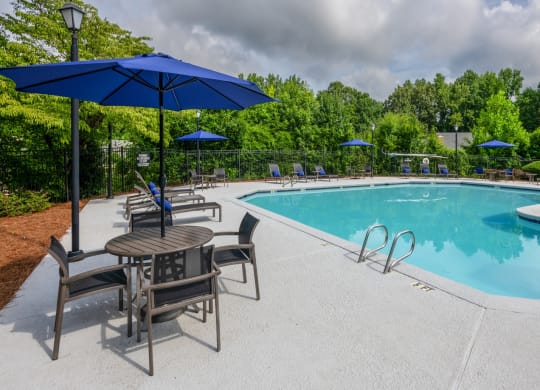 our apartments have a swimming pool with chairs and umbrellas