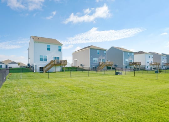 a group of houses in a fenced in yard