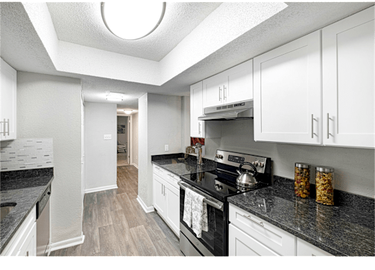 Kitchen with ample cabinet space and stainless steel appliances at Springdale Glen, a pet-friendly community in Clarkston, GA, near Decatur.