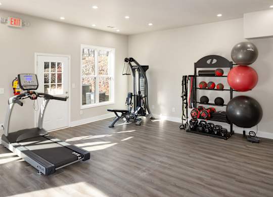 A well-equipped home gym with a treadmill, weights, and exercise balls.