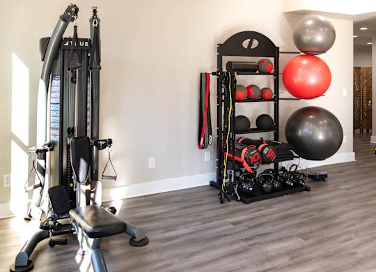 A home gym with a variety of equipment including a weight bench, a leg press machine, and a rack of exercise balls.