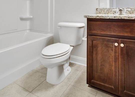 Harris Trail Luxury Townhomes for rent Richmond Hill, GA photo of bathroom with vanity, toliet and tub.