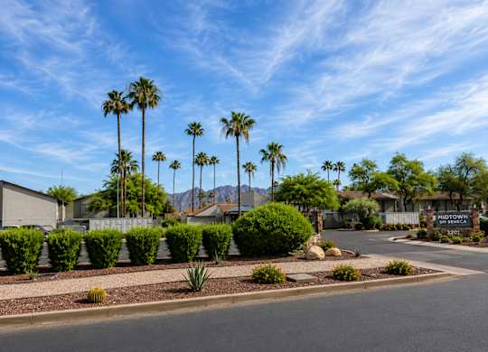 A street view of a residential area with palm trees and a sign that reads "Midtown.".